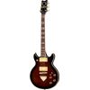 Ibanez AR325QA-DBS