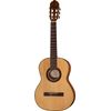 Gewa Pro Arte GC75A