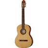 Gewa Pro Arte GC210A