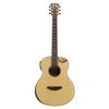 Traveler Guitars Traveler CL-3E Spruce Top
