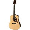 Gibson Hummingbird Sustainable N