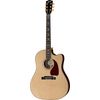 Gibson J-45 Avant Garde N
