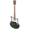 DAngelico Deluxe Bedford Hunter Green