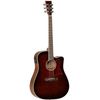 Tanglewood TW5 E WB