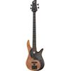 Fodera Yin Yang Std 4 LTD Maple Burl
