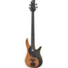 Fodera Yin Yang Std 4 LTD Olive