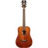 DAngelico Premier Utica Koa Top