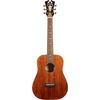 DAngelico Premier Utica Mahogany Top