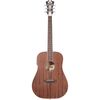 DAngelico Premier Niagara Mahogany