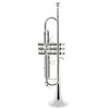 Schilke i33 Bb-Trumpet