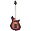 Evh Wolfgang WG Standard QM MB