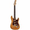 Fender LE AM PRO LT ASH Strat RW AGN