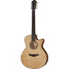Furch Blue plus GC-SW w/LRBaggs