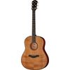 Taylor Builders Edition 517e