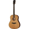 Taylor Builders Edition 717