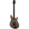 Framus Teambuilt Diablo II Progressiv