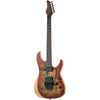 Schecter Reaper-6 FR Inferno Burst