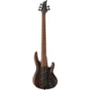ESP LTD B-1005 MS Natural Satin