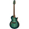 ESP LTD TL-6 Fm AQMB