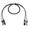 Cordial CPH 1,5 DMX 1 PWR 1 TRUE 1
