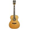 DAngelico Excel Tammany Vintage Nat