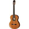 Alhambra 5P incl.Gig Bag