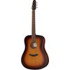 Baton Rouge L1LS/D-Burst