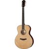 Furch Green Plus G-SR/LR Baggs VTC