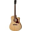 Gibson Hummingbird Mahogany AG AN 19