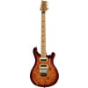 PRS SE Custom 24 Floyd Roasted TN