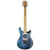 PRS SE Custom 24 Floyd Roasted WN