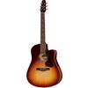 Seagull Entourage Autumn Burst CW Q1T