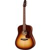 Seagull Entourage Autumn Burst Q1T
