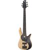 Fodera Yin Yang Std 5 ltd Box Elder