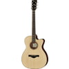 Ibanez ACFS580CE-OPS
