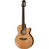 Takamine CNC-WS1