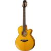 Takamine CNC-WS2
