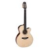 Takamine CNC-WS3