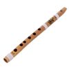 Thomann Nataraj Bansuri Straight D#