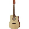 Ibanez PF10CE-OPN