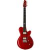 Godin DS-1 Daryl Stuermer Signature
