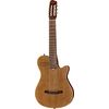 Godin Multiac Nylon Encore 7 NT SG