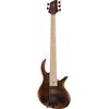 Elrick Gold E-volution 5 BO Walnut