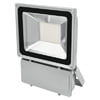 Eurolite LED IP FL-100 6400K