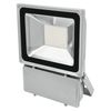 Eurolite LED IP FL-100 3000K