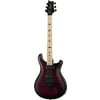 PRS CE 24 Dustie Waring Floyd WB
