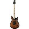 PRS CE 24 Dustie Waring Floyd B8