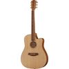 Cole Clark FL2EC-BB Fat Lady