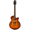Sadowsky Semi-Hollow Archtop Sienna