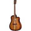 Cole Clark FL2EC-BLBL-SUN Fat Lady